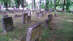 Úklid židovského hřbitova v České Lípě