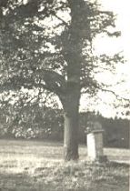 Kříž za hřištěm v roce 1959