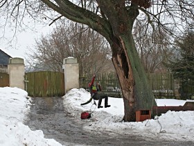 Ošetření lípy u kostela v Bořejově