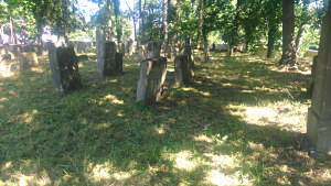 Údržba starého židovského hřbitova v České Lípě