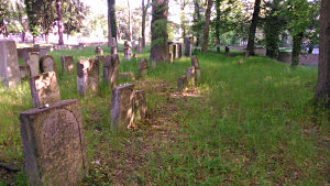 Úklid židovského hřbitova v České Lípě