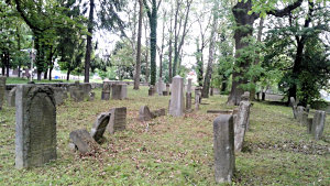 Sekání trávy na starém židovském hřbitově v České Lípě