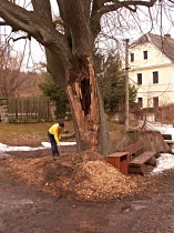Úklid štěpky u lípy před kostelem 20. března 2010